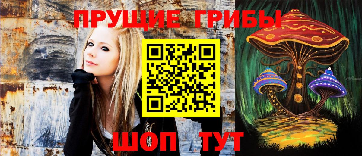 Псилоцибиновые грибы Cubensis  Галлюциногенные грибы ЛСД  Коркино  Вход с VPN 