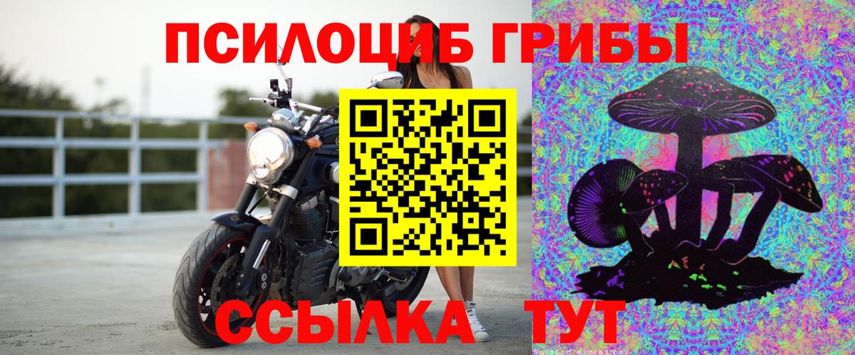 Псилоцибиновые грибы ЛСД Коркино